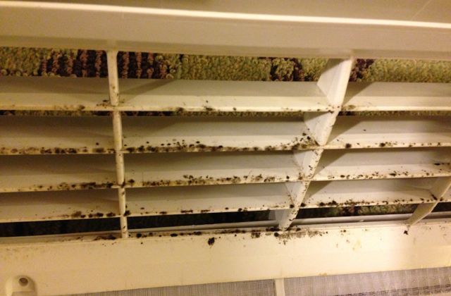 Black Mold in AC: A Comprehensive Guide to Prevention and Removal Black Mold in AC
