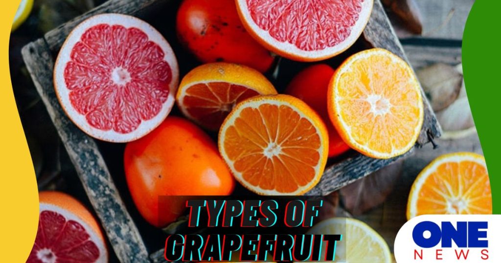 Types and Varieties of Grapefruit